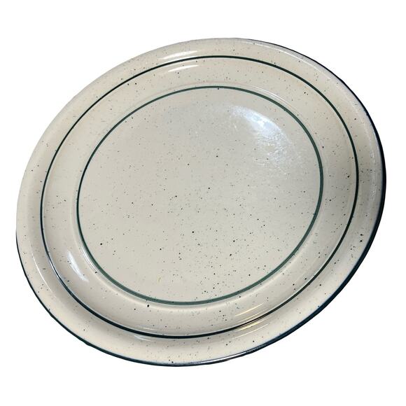 Tienshen Country Crock 11" Dinner Plate Green Crock Flecks Vintage Discontinued - Picture 1 of 7